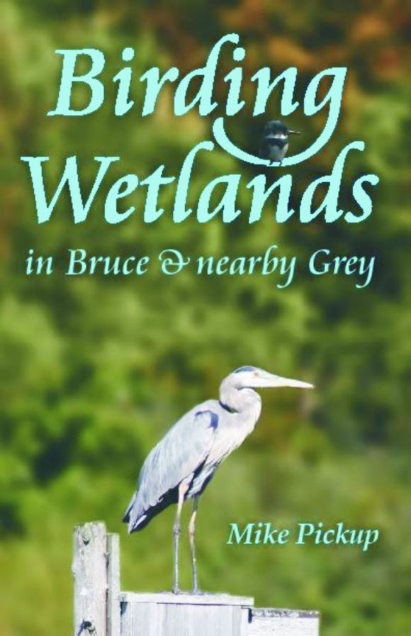 Birding Wetlands